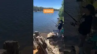 Where To Fish In Arizona This Summer