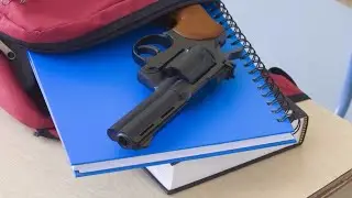 Roswell teen facing charges after bringing gun to school