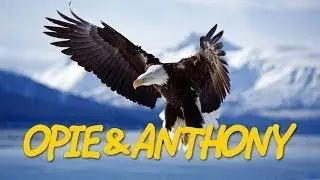 Classic Opie & Anthony: Stupid Birds Getting In The Way (03/17/10)