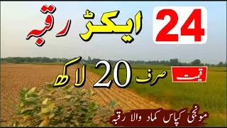 24 Acre Agriculture Land For Sale | Prime Location | Fertile Land | Best Investment 2025