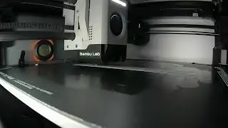 Tibberz Live Stream