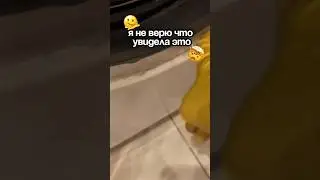 Советую каждой!😻Артикул WB: WW270093 анти-известь