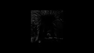 decalius - shotgun (slowed)