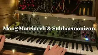 Grit and Dust - Moog Matriarch & Subharmonicon Ambient improvisation