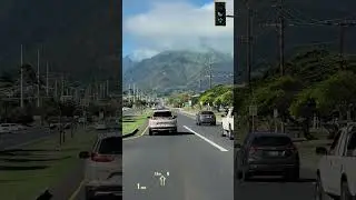 Driving in tropical town