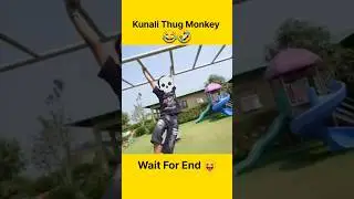 Kunali Thug Monkey 😂 #souravjoshivlogs #kunalithuglife