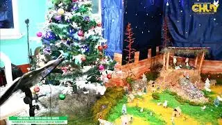 En Vivo