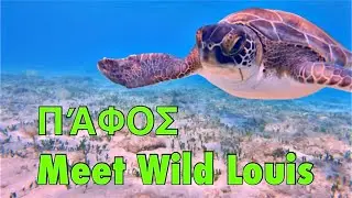 #4K | Jul2021| Snorkeling  With Turtles | Paphos| Cyprus|Part 01
