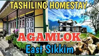 Tashiling Homestay,AGAMLOK,East Sikkim