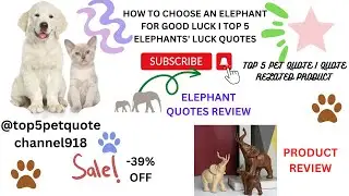 HOW TO CHOOSE ELEPHANT ORNAMENT  FOR GOOD  LUCK I TOP 5 ELEPHANT QUOTES FOR LUCK 2023