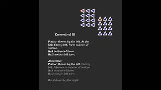 Platoon Drill - Command 10