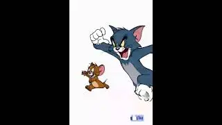 Tom N Jerry Vibe Live Stream