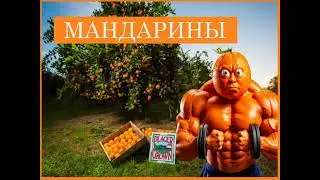 мандарины