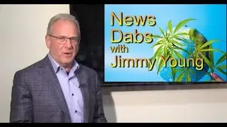 Marijuana legalized? US Senate starts to talk about federal decriminalization of cannabis.