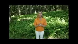 Global Om   GlobeShift