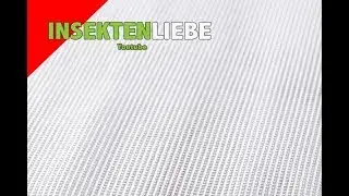 ❌Gottesanbeterin | R&uuml;ckwand f&uuml;r Aufzuchtdosen!