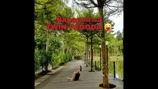 #singapore #pagoda Twin Pagoda Singapore