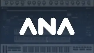 ANA 2 - Introducing Chord Memory Device
