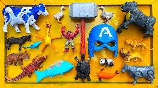 Menemukan mainan hewan, sapi, bebek, angsa, kerbau, buaya, gajah, kuda, singa, kingkong, panda,eps 8