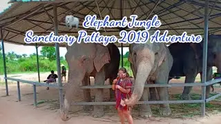 🐘Elephant Jungle Sanctuary Pattaya 2019 Adventure