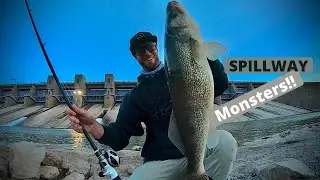 SPILLWAY Monsters!! (Canton Lake)