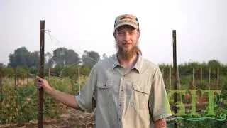 Growing in Torah: Lessons in the Field: The Sword of Truth