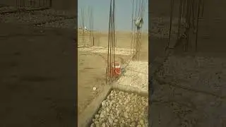 my new plant #shortvideo #construction #construction #constructionchannel