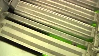 Sustainability in Grand Rapids: Wastewater Treatment Plant