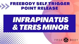 Releasing Muscles on the Shoulder Blades: Rolling Infraspinatus and Teres Minor