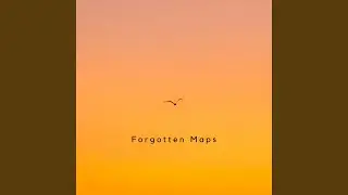 Forgotten Maps