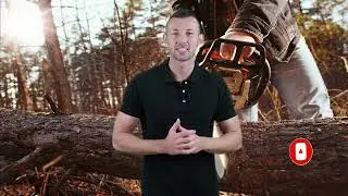 Best Echo Chainsaw 🔥 Top 5 Best Echo Chainsaw Reviews