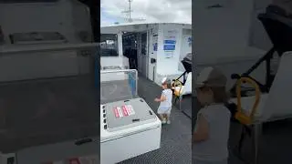 Весь общественный транспорт в Брисбене всего $0.50
