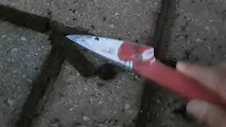 Cuttin through moss between bricks like butter......