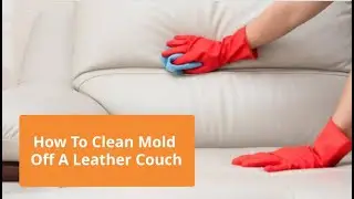 How To Clean Mold Off A Leather Couch | Bond Cleaning In Canberra