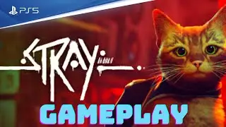 Stray | PS PLUS PREMIUM - DELUXE | Gameplay Preview | PS5