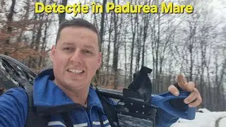 🧭 Aventură la detecție în inima pădurii #metaldetecting #youtube #metaldetector #aventura 