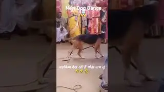 New Dog Dance 🤯#funnydogs#doglover#dancingdogs#shorts#youtubeshorts#animals#dance#shortvideo#funny