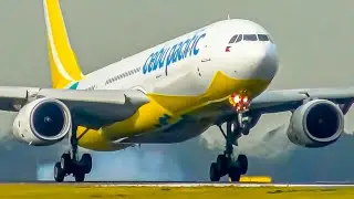 This Is How PROFESSIONAL Pilots LAND Planes | Sydney Airport Plane Spotting
