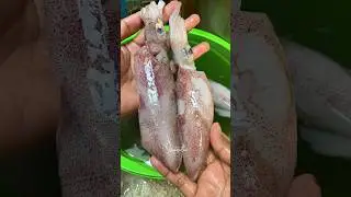 Cara membersihkan cumi2 yang benar dan cepat ✨