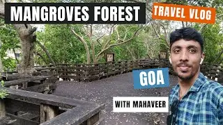 GOA | Mangroves Forest Goa Vlog | North Goa | Goa Vlog | Mangroves Forest Vlog | Viral Vlog | Vlog 3