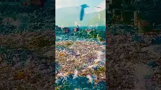 #EndPlasticPollution