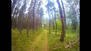 Cycling on the Curonian Spit