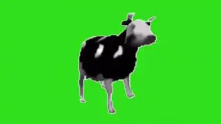 Polish Cow Green Screen Reversed