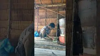 Strike Besar di Kelong! Ikan Tarikan Super Bikin Jantung Deg-degan! #kehidupannelayan #mancing