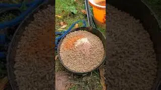 Preventative Health Care - Holistic Horse Rescue - Heart of Gold Sanctuary