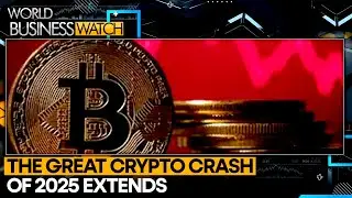 Bitcoin Crashes to Seven-Month Low, $1 Trillion Wiped from Crypto Market| WION World Business Watch