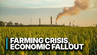Farming Crisis, Economic Fallout | The Hidden Costs of Industrial Farming in America