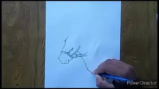 Horse Drawing // pencil sketch // Classical Art Gallery.