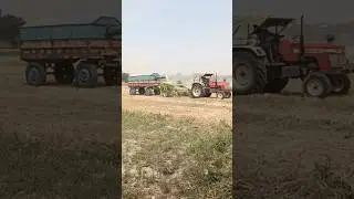 village vlog #trending #deoria#viral #shortsvideo