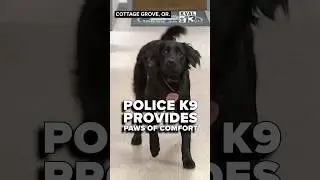 Therapy dog offers police officers and crime victims a helping paw